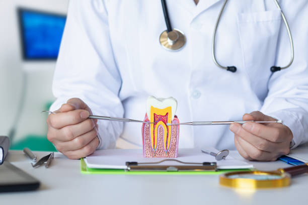 Best 24-Hour Emergency Dentist in Omaha, TX